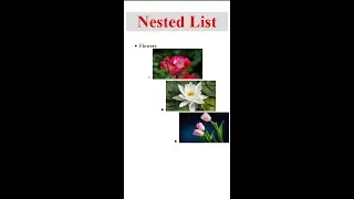 Nested List in HTML