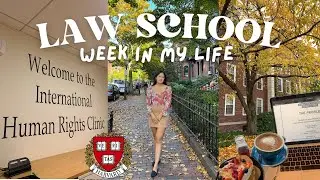 Harvard Law School Vlog: human rights clinic, open bars and Justice Breyer + how I write an essay