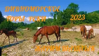 ❗️ДИВНОМОРСКОЕ ИЮНЬ 2023❗️ПРИРОДА ГОРЫ РЕКИ ЛОШАДИ❗️ШИКАРНЫЕ ВИД НА ДИВНОМОРСКОЕ ❗️ЖАРИМ ШАШЛЫК❗️