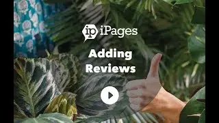 Adding Reviews