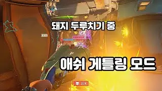 [오버워치2] 애쉬로 양학