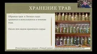 14 и 21 день разные зерна в каши