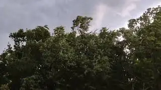 Сильный ветер перед грозой. 10.07.2022