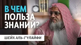 В чем польза знаний? | Шейх Г'улайфи