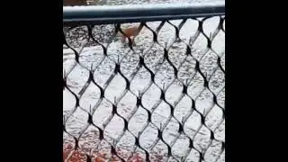 Видео из Караганды.