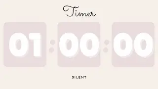🤍 1 Hour Silent Timer with Cute Ending Alarm | Beige Timer