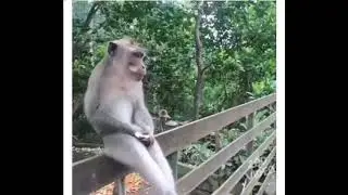 юмор 2020