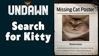 Search for Kitty Undawn Guide