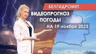Видеопрогноз погоды по областным центрам Беларуси на 19 ноября 2023 года
