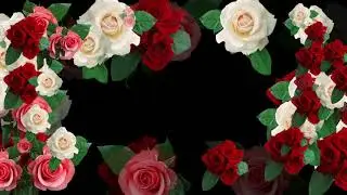 футажи для видеомонтажа
