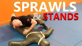 Sprawls and Stands