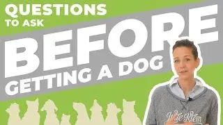 Things I Wish I Knew BEFORE Getting A Dog - Part 1