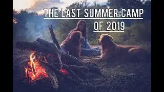 Last Summer Camp 2019