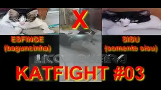 KATFIGHT #03 COCAO NO FUCINHO.HD