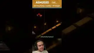LUDICROUS DKC infinite jump speedrun glitch!