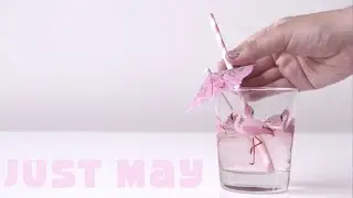Just May - Home, A Queer Cooking Series