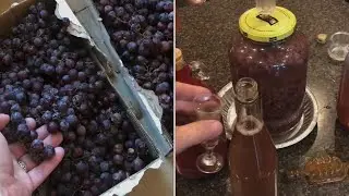 making “wine” the OLD ITALIAN WAY…