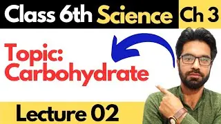 Carbohydrate | Class 6th Science | Unit - 03 - Balanced Diet