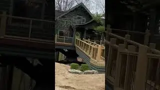 Huge 4 Bedroom Tree House