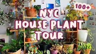 SUMMER 2021 HOUSE PLANT COLLECTION TOUR | 100+ Plants in My NYC Apartment 🌿