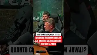 CAÇADORES REVELAM OS CUSTOS E DIFICULDADES DE CONTROLAR O JAVALI 