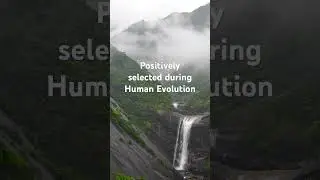 Autism 
