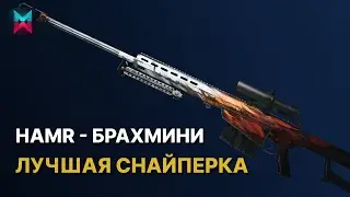 HAMR Брахмини - лучшая снайперка в игре! Билд в Once Human