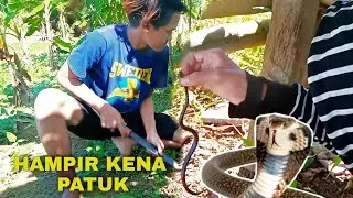Berburu makanan di hutan angker,malah dapet ginian