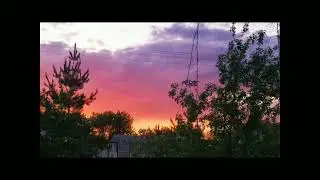 kurtains - trees ( speed up )
