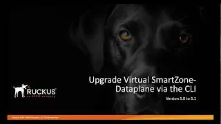 Upgrading Virtual SmartZone-Data Plane (vSZ-D) Using the CLI