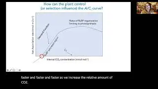 ECOL340 Lecture on evolution of C4 CAM photosynthesis