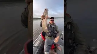 Попалась очень буйная щука #рыбалка #спиннинг #щука