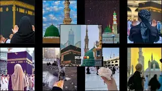 Best WhatsApp DPs for Muslim Girls: Beautiful DP Ideas