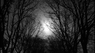 Dark Lunacy - Fall
