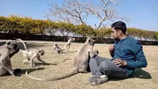 How to train a Monkey ? 😅😅😅😅😅