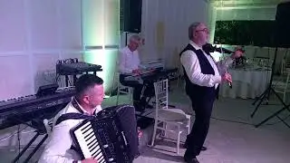 Formatia REGAL din BRAILA - sarba nunta 2023