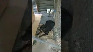 Cuidando da Tropa