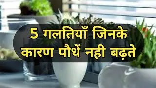 पांच गलतियाँ जिसके कारण पौधे नहीं बढ़ते | Mistakes that cause plants to not grow