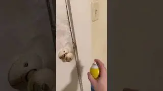 Super Dirty Door Clean up 
