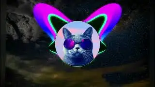 Tzanca Uraganu-Vorba Francezului(bass boosted)