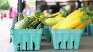 Field to Plate: Summer Vegetables
