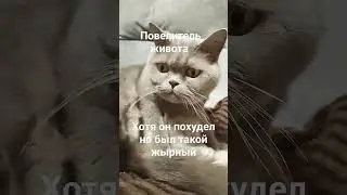 милаша
