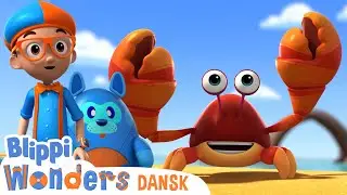Vi bygger sandslotte | Blippi Dansk | Moonbug Børn Dansk - tegnefilm for børn