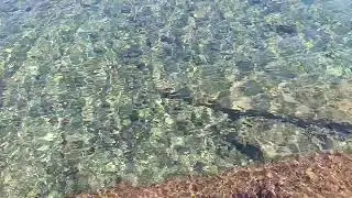Море