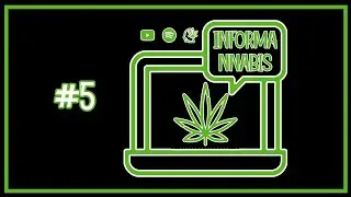 Informannabis #5 📡 | Noticiero Cannábico 💻