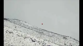 Toughest Gamebird - Chukar Shotkam