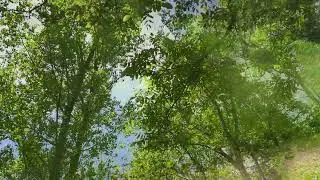 cinematic vidéo avec Samsung Galaxy S23 ultra