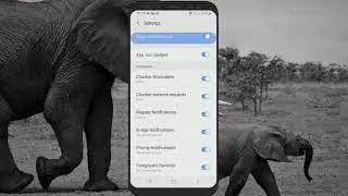 Android Notification Setup