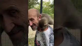 СМЕХ! Люся, Степка и Маня!
