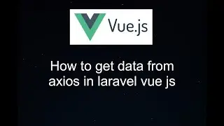 How to get data from axios in vue js in laravel